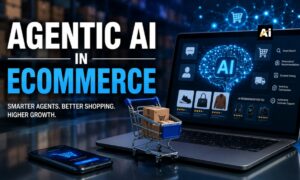 Agentic AI in Ecommerce The Next Evolution of Intelligent Online Shopping